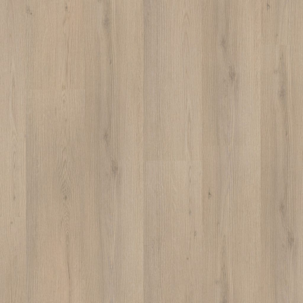 Barnet dryback beige