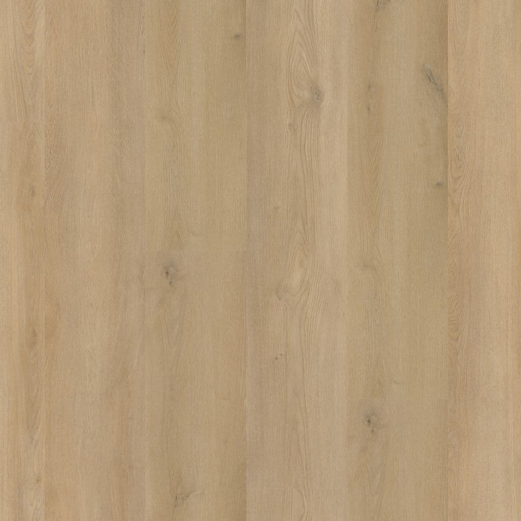 Greenwich dryback beige