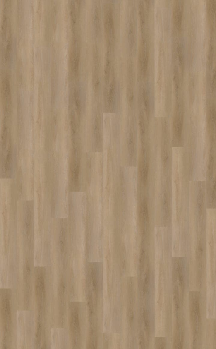 Attico 810