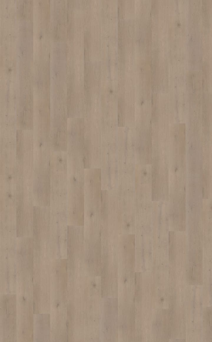 Attico 830
